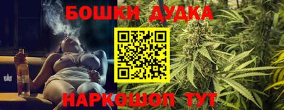 прущие крисы Новозыбков