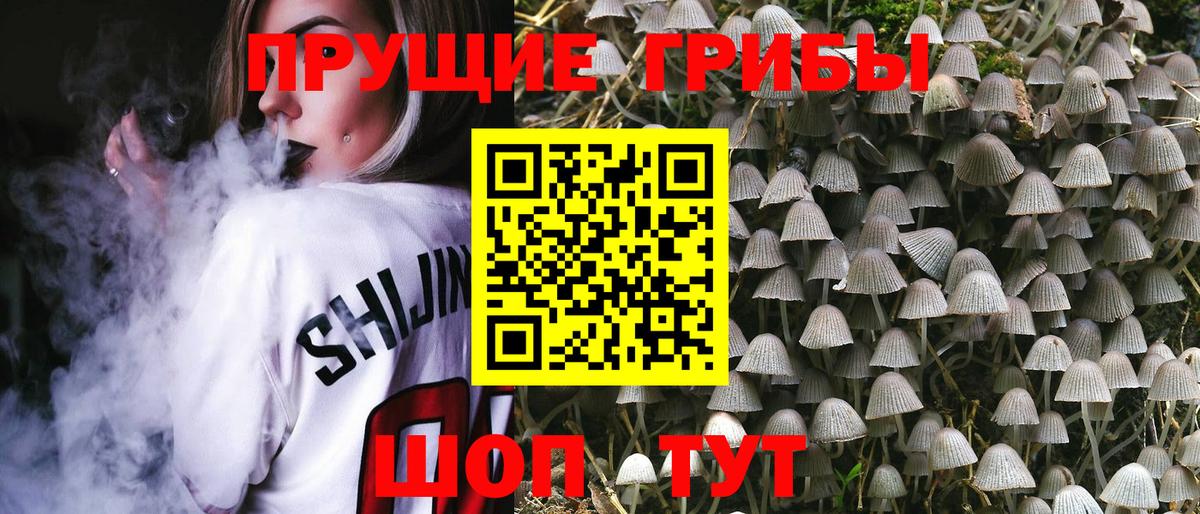 Псилоцибиновые грибы Cubensis  Псилоцибиновые грибы ЛСД  Вход с VPN  Сергиев Посад 