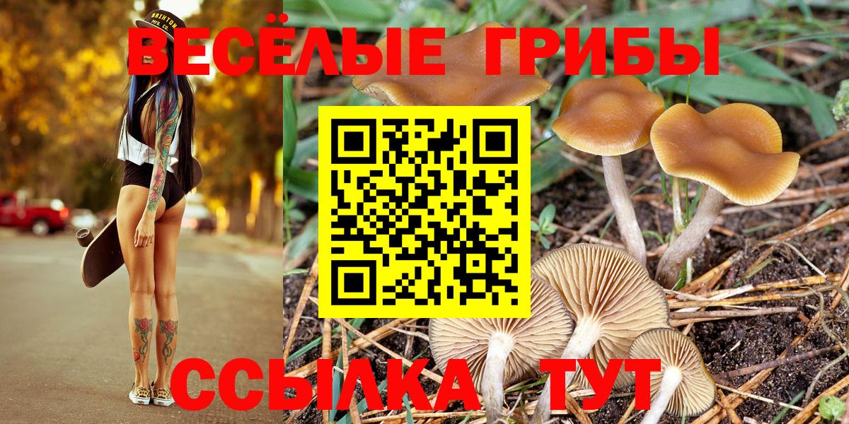 Псилоцибиновые грибы GOLDEN TEACHER Сергиев Посад